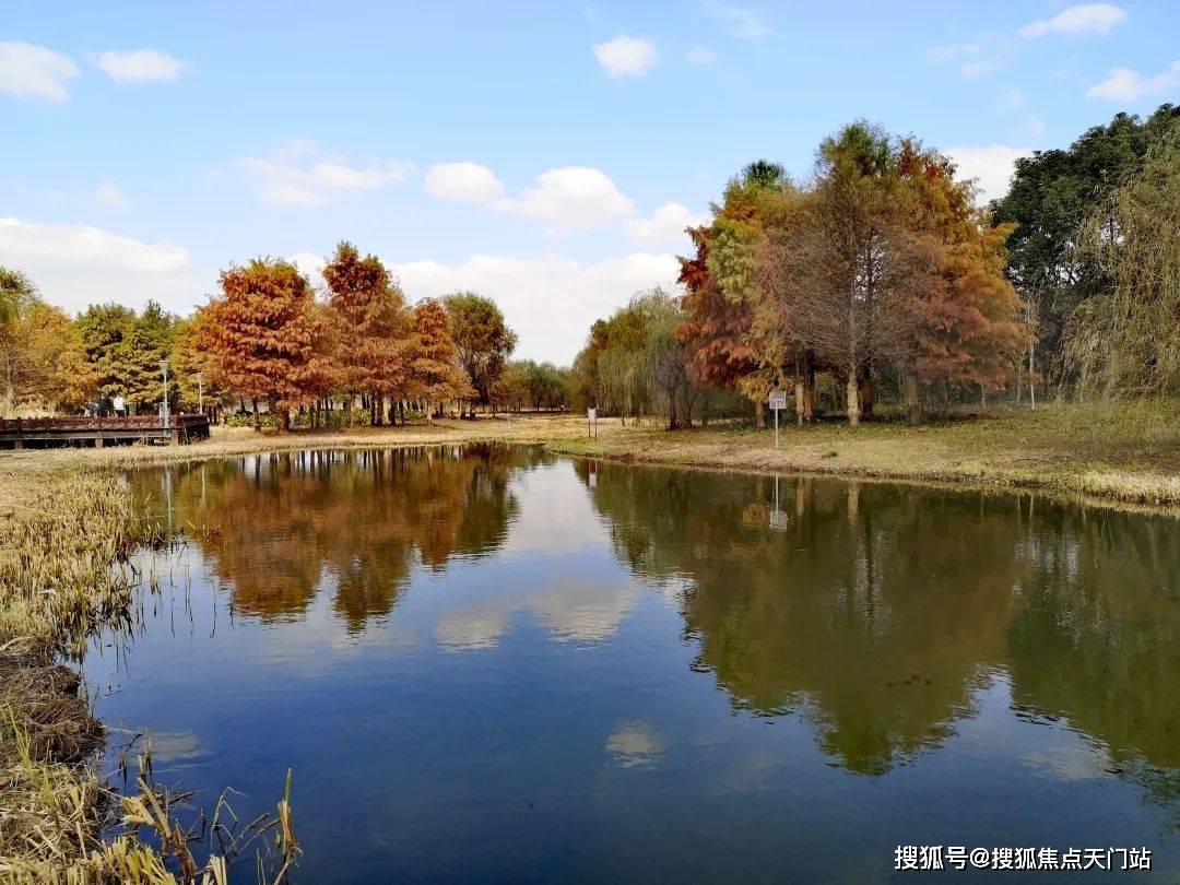 府在售户型小区配套最新价格周边详情容积率周边交通凯时尊龙最新张江金茂府2025首页网站张江金茂(图31)